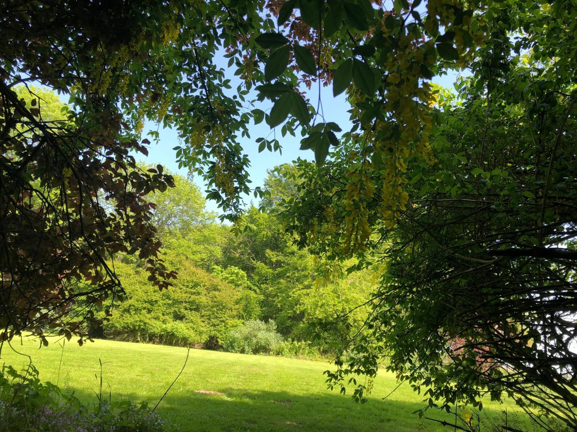 Forse Of Nature Latheron Exterior foto